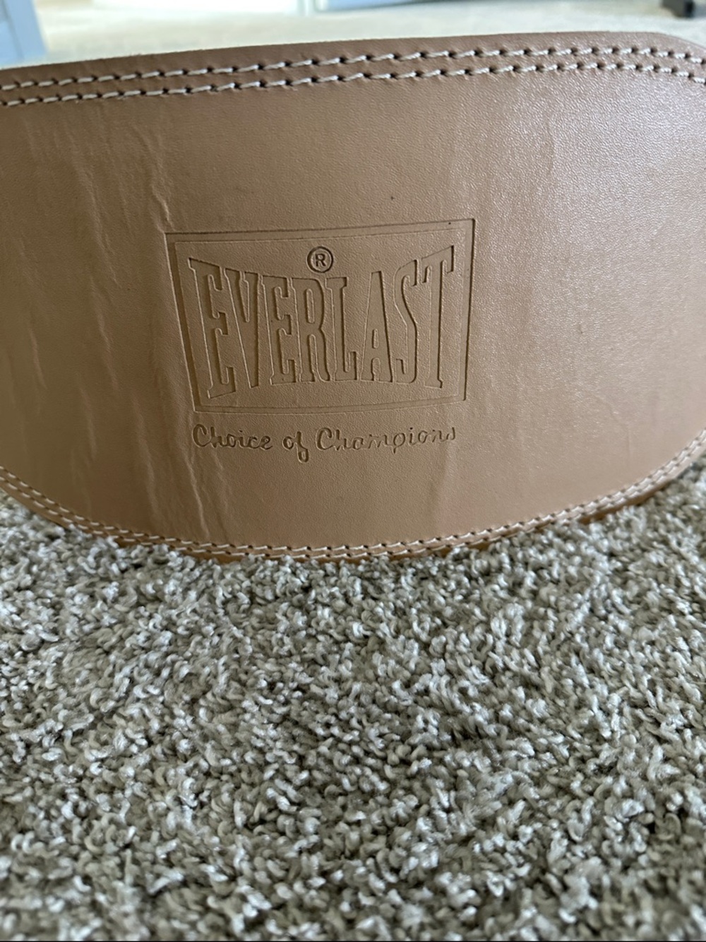 Everlast Leather Weight Lifting Belt in Light Brown
